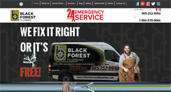 Desktop Screenshot of blackforestplumbing.com